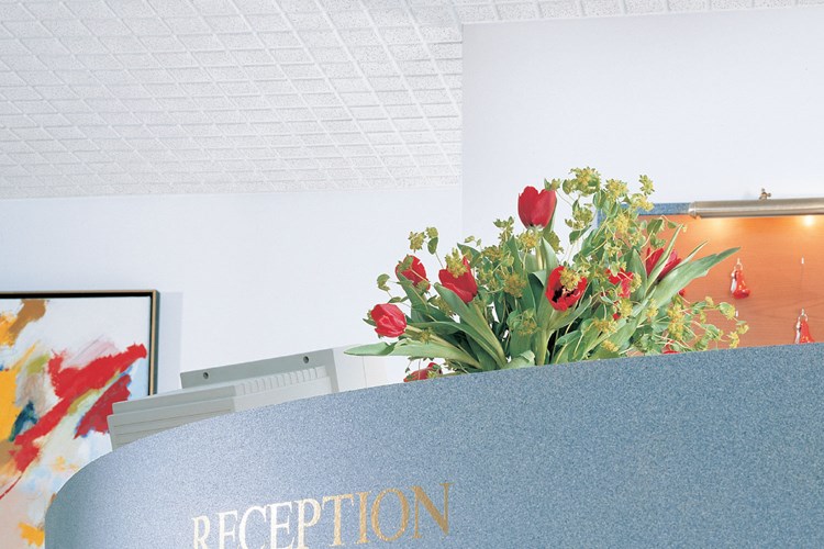Designer Series Acoustical Ceiling Designer Series Acoustical Ceiling