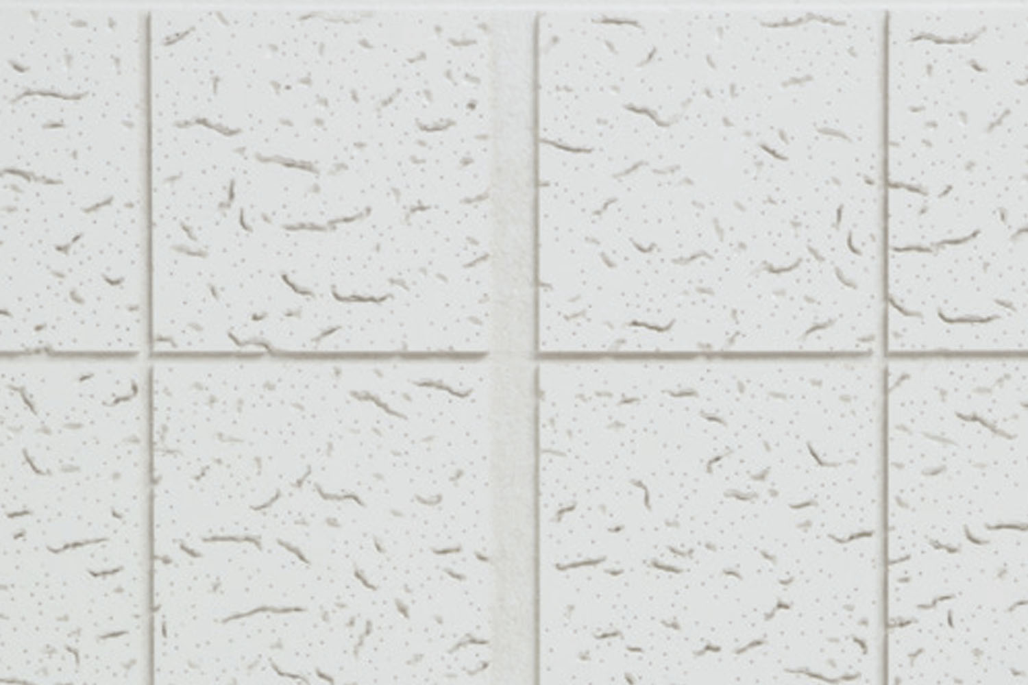 Designer Series Acoustical Ceiling