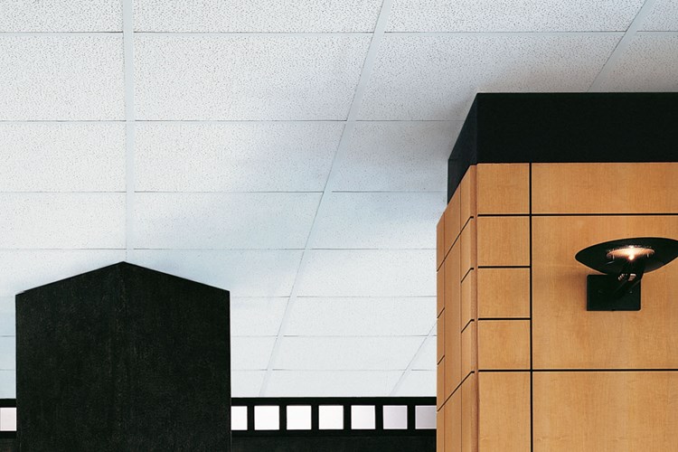 Favia Acoustical Ceiling Favia Acoustical Ceiling