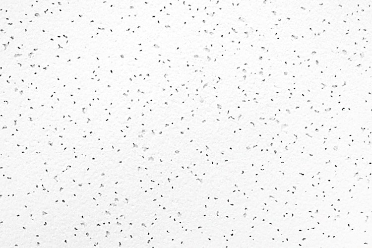 Favia Acoustical Ceiling Favia Acoustical Ceiling