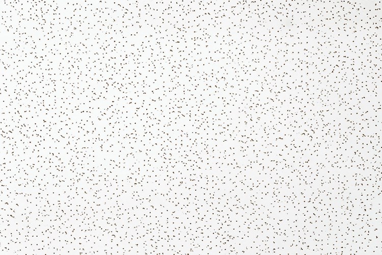 Favia Acoustic Acoustical Ceiling Favia Acoustic Acoustical Ceiling