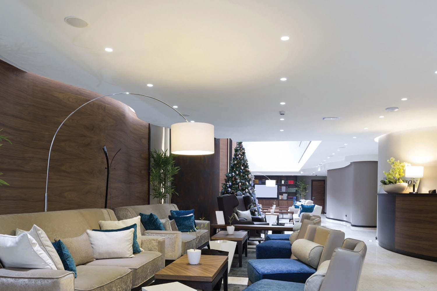 مونوسيلنت للتشطيب