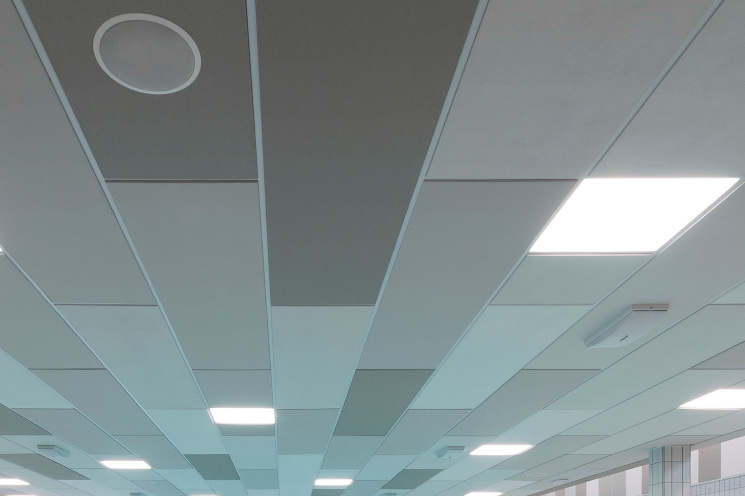 دون دي اكس - دي اكس ال تي15 شديد التحمل - نظام تعليق صوتي مقاوم للحريق