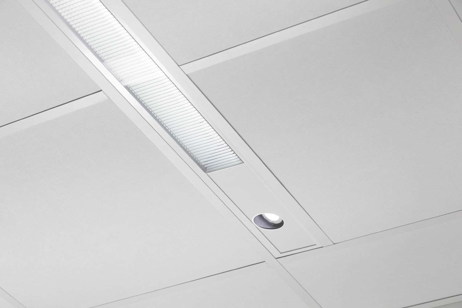 دي اكس - دي اكس ال تي 24 - نظام تعليق صوتي شديد التحمل