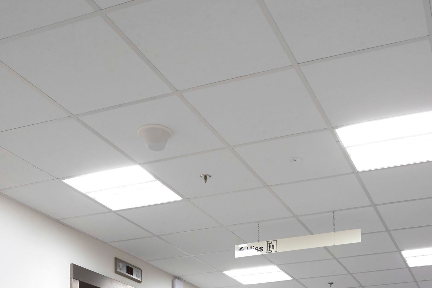 DX®/DXH33® T24 Intermediate Duty Acoustical Suspension System