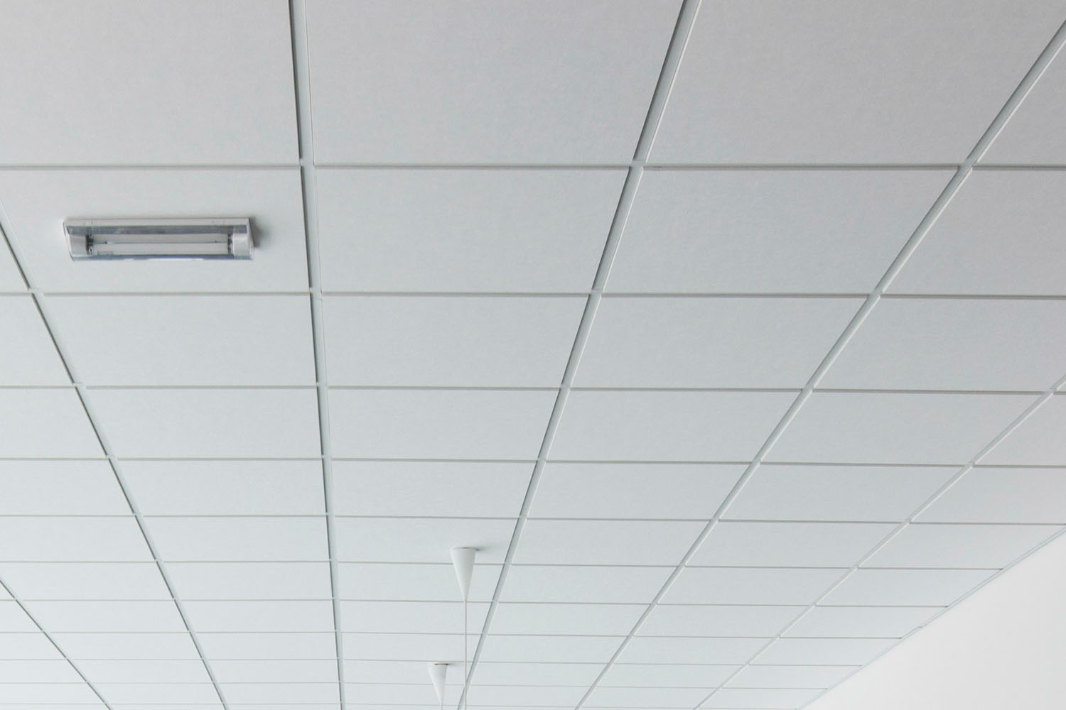 دي اكس - دي اكس ال تي 24 - نظام التعليق الصوتي الخفيف