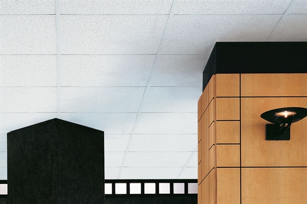 Favia Acoustical Ceiling