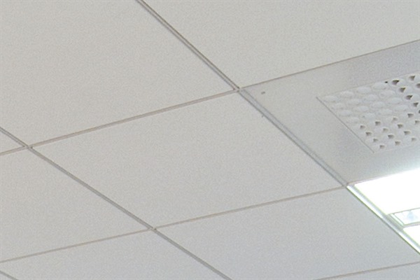 DXI® IDENTITEE® Acoustical Suspension System